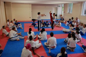 pics teaching seminar