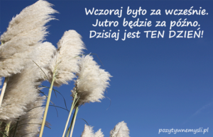 pozytywne-mysli-dzisiaj-jest-ten-dzien